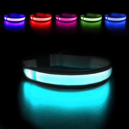MASBRILL Light Up Dog Collars - LED Dog Collar Rechargeable Lighted Dog Collars for Night Resistant-Water Glow Dog Collar by MASBRILL