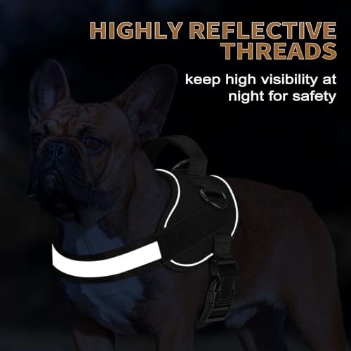 Haapaw Essential Dog Harness, No Pull Pet Vest with 3 Leash Clips, No Choke, Reflective, Adjustable and Padded, for Easy Walking and Training for Small Dogs(S, Black) - Image 4