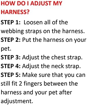 Best Pet Supplies Voyager Step-in Air All Weather Mesh Harness and Reflective Dog 5ft Leash Combo with Neoprene Handle, for Small, Medium and Large Breed Puppies - Blue/Black Trim, Medium - Image 2