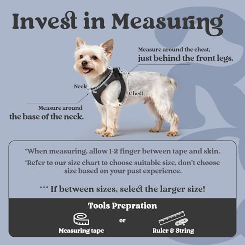 rabbitgoo Step-in Small Dog Harness, Puppy Vest for Medium Sized Pet - Image 2