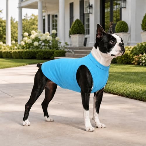 Pet Clothes Dog Clothing Blank T-Shirt Tanks Top Vests for Small Middle Large Size Dogs 100% Cotton Dog Summer Vest Classic (XXXXL, Lake-Blue) - Image 5
