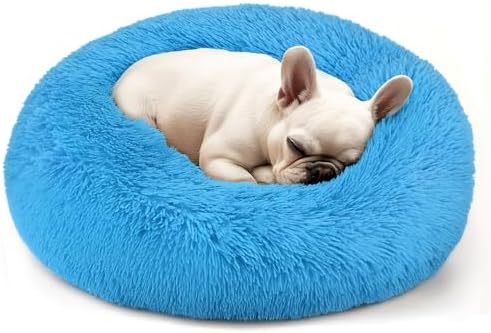 Hoewina Dog & Cat Bed, 20in Cat Beds for Indoor Cats (Light Blue) by Hoewina