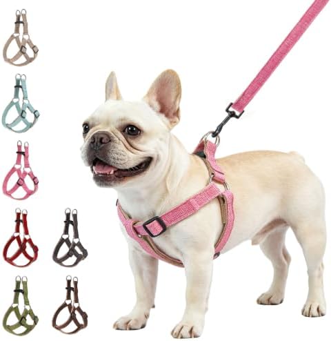 BEAUTYZOO Adjustable No Pull Dog Harness and Leash Set by BEAUTYZOO