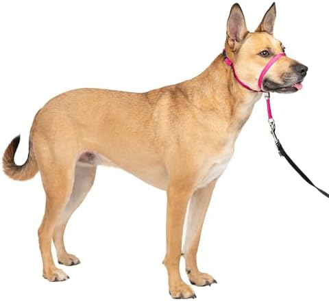 PetSafe Gentle Leader No Pull Dog Headcollar, Raspberry Pink, Medium by PetSafe