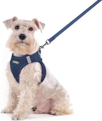 rabbitgoo Dog Harness Medium Sized and Leash Set, Step-in Puppy Pet Vest by rabbitgoo