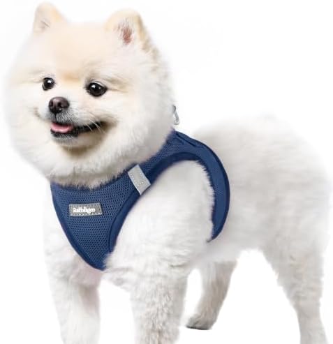 rabbitgoo Step-in Small Dog Harness, Puppy Vest for Small Sized Pet by rabbitgoo