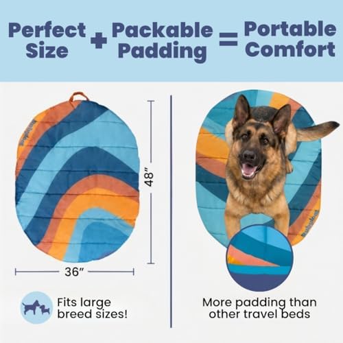 Travel Dog Bed, 48x36in, Foldable & Packable with Carry Bag, Teal - Image 2