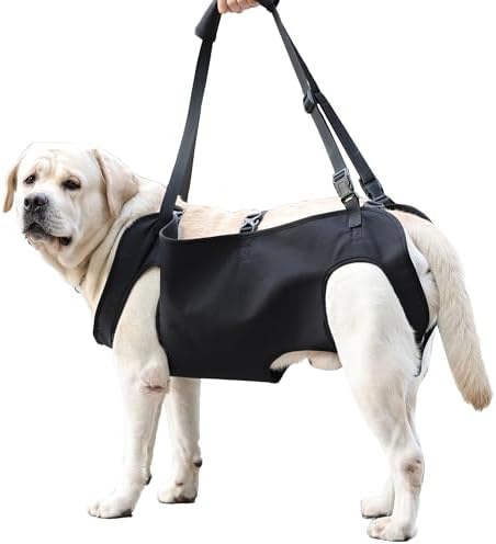 Dog Lift Harness,Full Body Dog Sling Carrier with Handle,Total Body Support for Dogs,Pet Dog Leg Support Sling Adjustable Retractable Breathable Lift Harness (S) by XUANNIAO