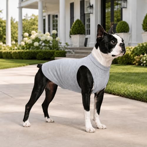 2018 Pet Clothes Dog Clothing Blank T-Shirt Tanks Top Vests for Small Middle Large Size Dogs 100% Cotton Dog Summer Vest Classic (XXXXL, Gray) - Image 5