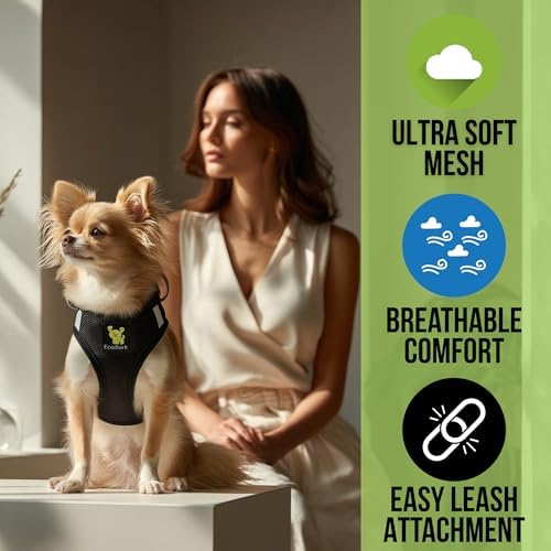 EcoBark Step in Dog Harness - Eco-Friendly Teacup Dog Harnesses for XXS, XS, and Small Dogs - Reflective and Adjustable Mini Body Halter Vest -Tiny Soft Mesh Toy Breed Harness Under 5 lbs (Black, XXS) - Image 2