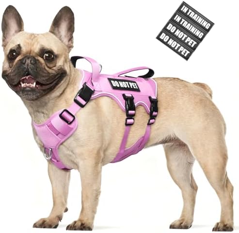 WINSEE Escape Proof Dog Harness with Double Handle+4 Removable Patches by WINSEE