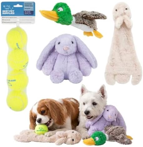 Best Pet Supplies Squeaky Dog Toys with Soft Durable Fabric for Small, Medium and Large Pets Interactive Toy for Indoor Play, Supports Active Biting and Play - Bunny Bunny Duck, Small by BestPetSuppliesLLC