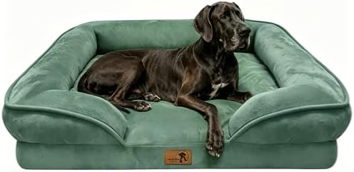 Spotted Play Orthopedic Dog Bed with Sides - Sofa Beds for Extra Large Dogs, Supportive Foam Pet Couch Bed with Washable Removable Cover, Waterproof Lining and Non-Slip Bottom, Green - XXL by Spotted+Play