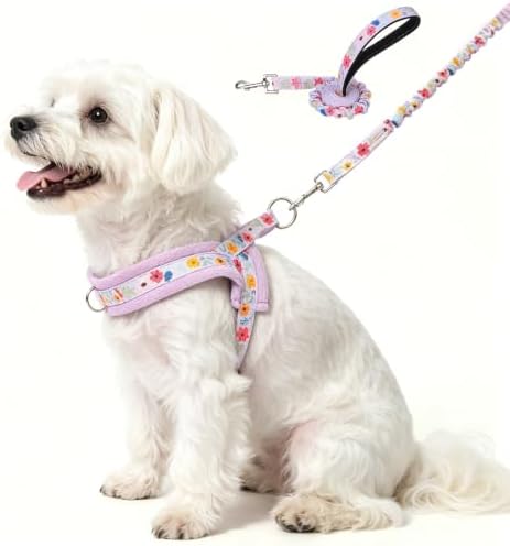 BEAUTYZOO Small Dog Harness and Leash Set, No Pull Step in Puppy Vest by BEAUTYZOO