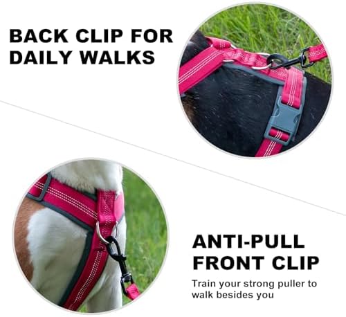 Plutus Pet No Pull Dog Harness, Adjustable Nylon Harness with Soft Padding - Image 4