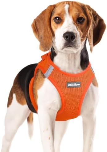 rabbitgoo Step-in Small Dog Harness, Puppy Vest for Small Medium Sized Pet by rabbitgoo