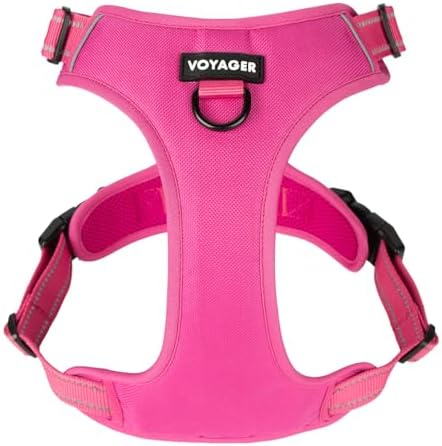 Voyager Dual Attachment No Pull Harness - Fuchsia, Small by BestPetSuppliesLLC