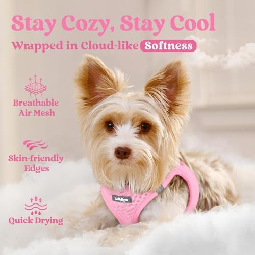 rabbitgoo Step-in Small Dog Harness, Puppy Vest for Small Sized Pet - Image 3