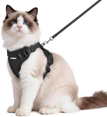 rabbitgoo Cat Harness and Leash Set, Escape Proof Vest, Black by rabbitgoo