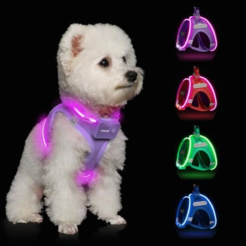 Light Up Dog Harness, Rechargeable LED Dog Harness for Small Medium Dogs by FEYCIG