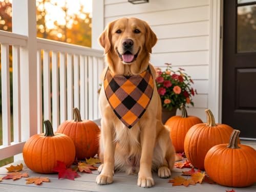 Fall Dog Bandanas 2PCS Halloween Pumpkin Spider Web XLarge Dogs - Image 6