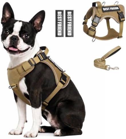 WINSEE No Pull Tactical Dog Harness with Leash Set with 2 Patches by WINSEE