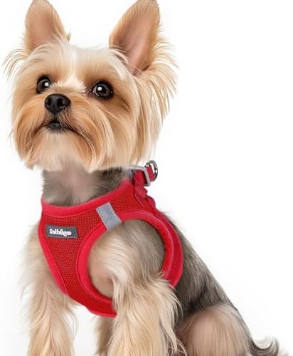 rabbitgoo Step-in Small Dog Harness, Puppy Vest for Small Sized Pet by rabbitgoo