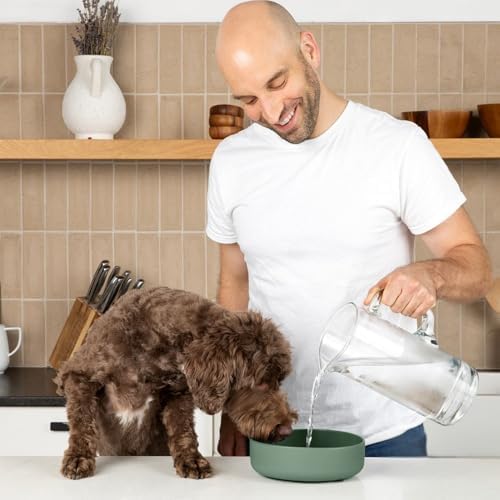 The Perfect Dish - Silicone Dog Bowl for Food & Water, 7.5"x2.25"-Spruce - Image 2