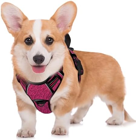 BARKBAY No Pull Dog Harness Large Reflective Dog Harness with Front Clip and Easy Control Handle for Walking Training Running with ID tag Pocket(Pink/Black,M) by BARKBAY