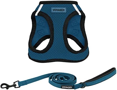 Best Pet Supplies Voyager Step-in Air All Weather Mesh Harness and Reflective Dog 5ft Leash Combo with Neoprene Handle, for Small, Medium and Large Breed Puppies - Blue/Black Trim, Medium by BestPetSuppliesLLC