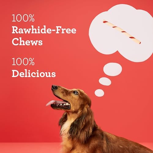 DreamBone Twist Sticks Rawhide-Free Dog Treats With Real Protein, 50 Count - Image 3