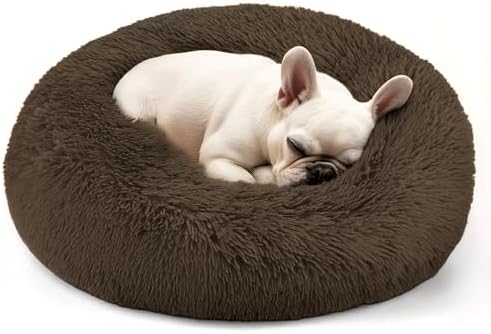 Hoewina Dog & Cat Bed, 20in Cat Beds for Indoor Cats (Coffee) by Hoewina
