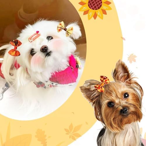 20Pcs/10 Pairs Thanksgiving Pumpkin Maples Pattern Yorkie Dog Puppy Hair Bows with Rubber Bands Hair Accessories Bow Pet Grooming Cute Pet Small Hair Bowknot (Pumpkins) - Image 3