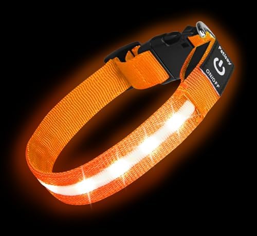 Super Bright LED Dog Collar, Waterproof Light up Collars(Orange, Large) by PetIsay
