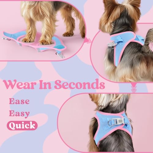 rabbitgoo Step-in Small Dog Harness, Puppy Vest for Small Sized Pet - Image 6