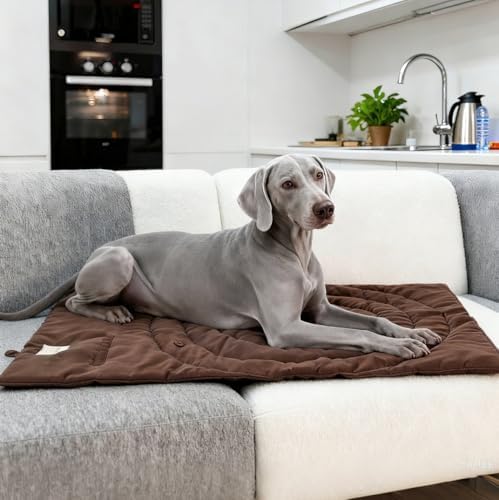 Lightly Padded Roll-Up Travel Dog Mat Settle & Place Training - Image 4