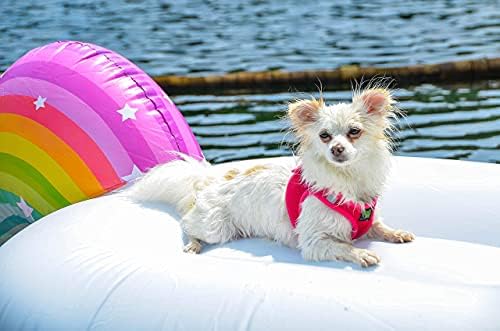 EcoBark Step in Reflective Soft Mesh Small Dog Harness, Pink, Small - Image 5