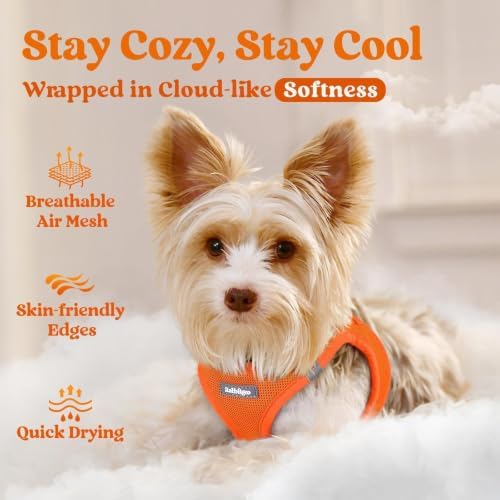 rabbitgoo Step-in Small Dog Harness, Puppy Vest for Small Sized Pet - Image 3