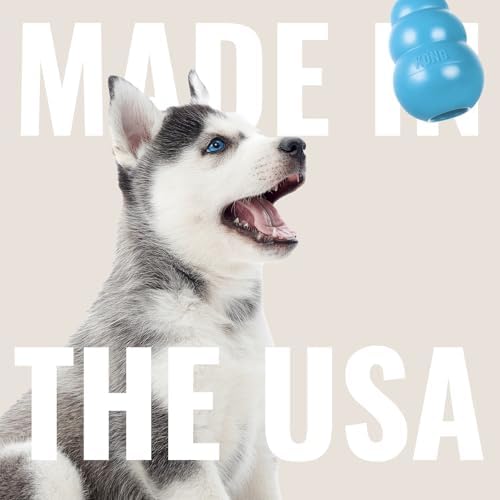 KONG Puppy Binkie, Natural Rubber Teething Toy, for Medium Puppies, Blue - Image 5