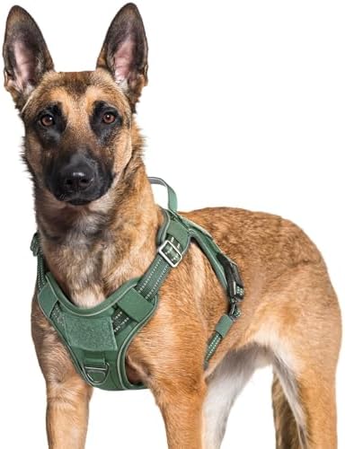 rabbitgoo Tactical Dog Harness for Large Dogs, No Pull Service Pet Vest by rabbitgoo