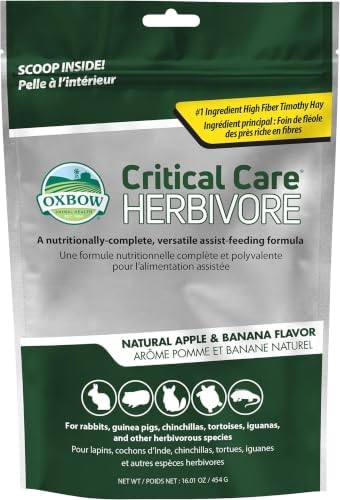 Oxbow Critical Care Herbivore, Emergency Rabbit & Guinea Pig Food, Natural Apple Banana Flavor, Critical Care Herbivore, Assist Feeding Formula for Pets, 454 gram Bag (Pack of 6) by OxbowAnimalHealth