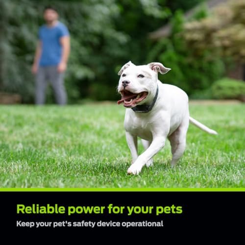 Premier Pet 6V Lithium Batteries, Pack of 2 - Image 2