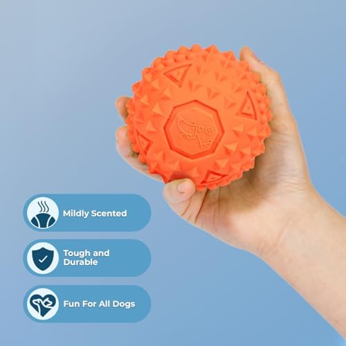 Best Pet Supplies Squeaky Dog Toys with Soft Durable Fabric for Small, Medium and Large Pets Interactive Toy for Indoor Play, Supports Active Biting and Play - Orange, Large - Image 2