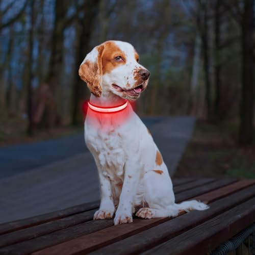 PcEoTllar Light up Dog Collar, Safe for Night Walking, Adjustable, Red, L - Image 6