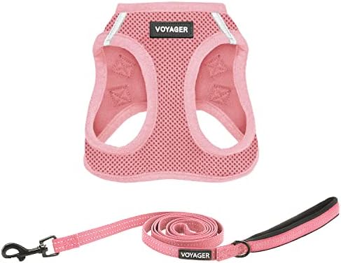 Best Pet Supplies Voyager Step-in Air All Weather Mesh Harness and Reflective Dog 5ft Leash Combo with Neoprene Handle, for Small, Medium and Large Breed Puppies - Pink, Medium by BestPetSuppliesLLC