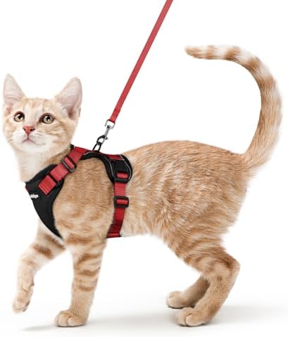 rabbitgoo Cat Harness and Leash Set, Escape Proof Vest, Black & Red by rabbitgoo
