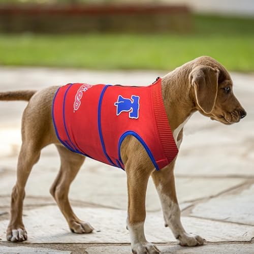 MLB Philadelphia Phillies Dog Anxiety Shirt Calming Soothing Vest for Dogs Cats with Anxiety, Fears, Fireworks, Loud Noises, Dark, Lonely Keeps Dogs Calm Feeling Safe, Relaxing Jacket, Small - Image 6