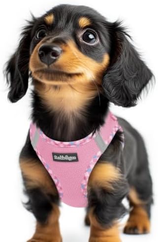 rabbitgoo Step-in Small Dog Harness, Puppy Vest for Small Sized Pet by rabbitgoo