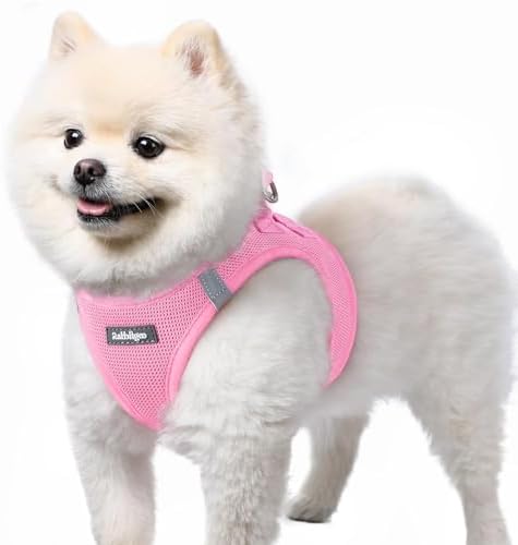 rabbitgoo Step-in Small Dog Harness, Puppy Vest for Small Sized Pet by rabbitgoo