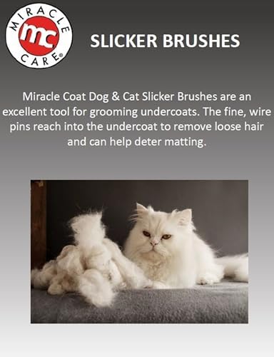 Miracle Care Small Slicker Brush for Cats - Image 4